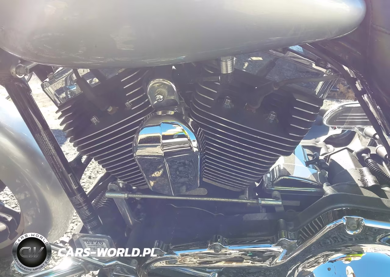 2015 Harley-Davidson Flhxs Street Glide Special VIN:1HD1KRM19FB607984 - 9