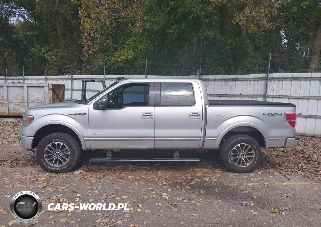 2013 Ford F-150 Platinum VIN:1FTFW1ET6DFA22671 - 14