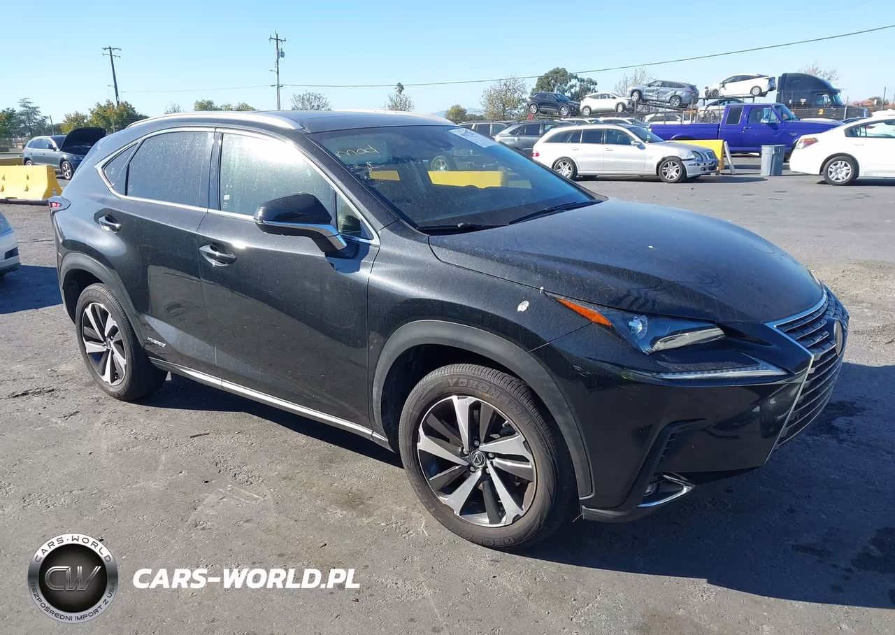 2020 Lexus Nx 300H