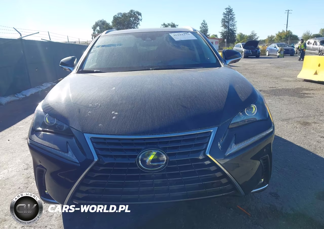 2020 Lexus Nx 300H VIN:JTJGJRDZ0L2140791 - 11