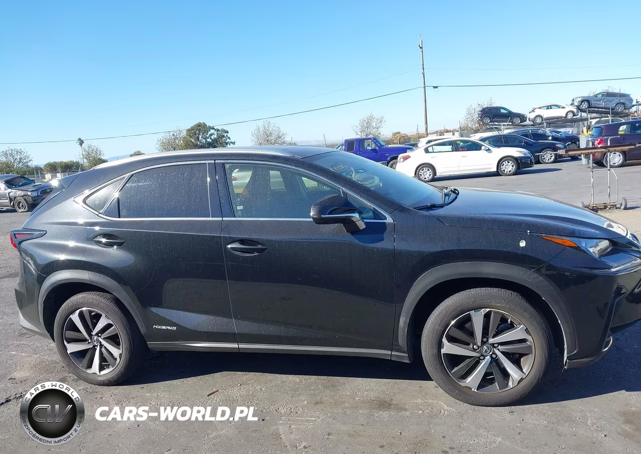 2020 Lexus Nx 300H VIN:JTJGJRDZ0L2140791 - 12