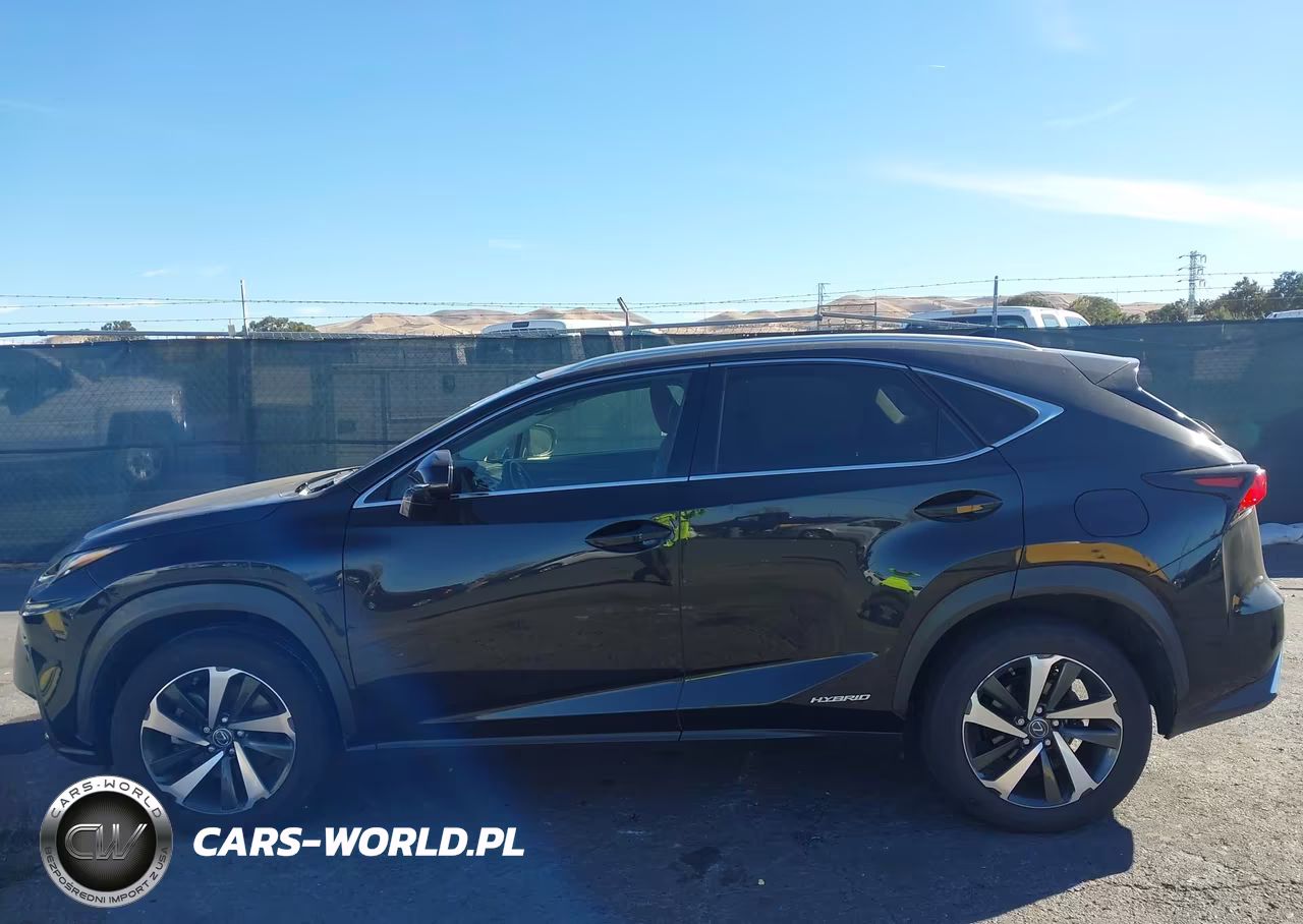2020 Lexus Nx 300H VIN:JTJGJRDZ0L2140791 - 13
