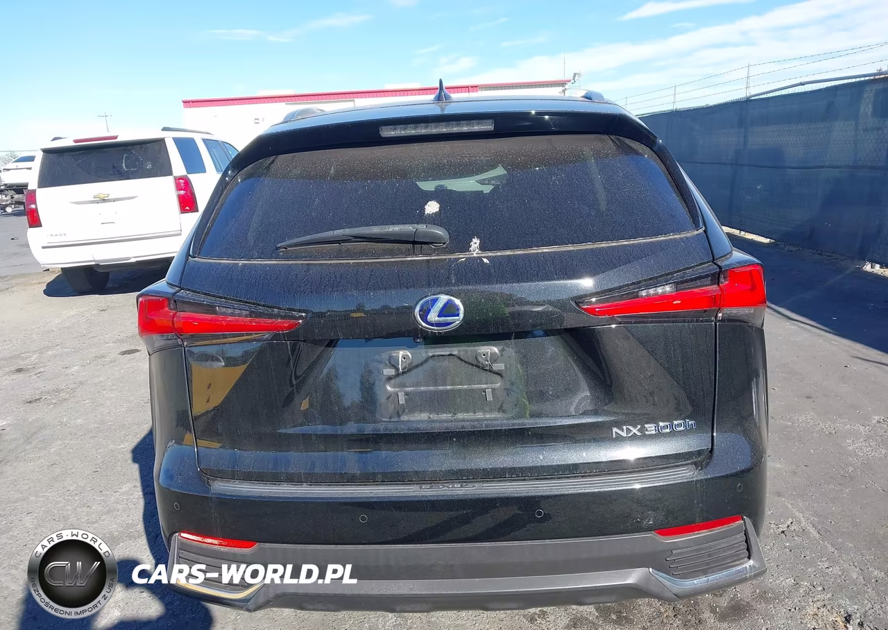 2020 Lexus Nx 300H VIN:JTJGJRDZ0L2140791 - 15