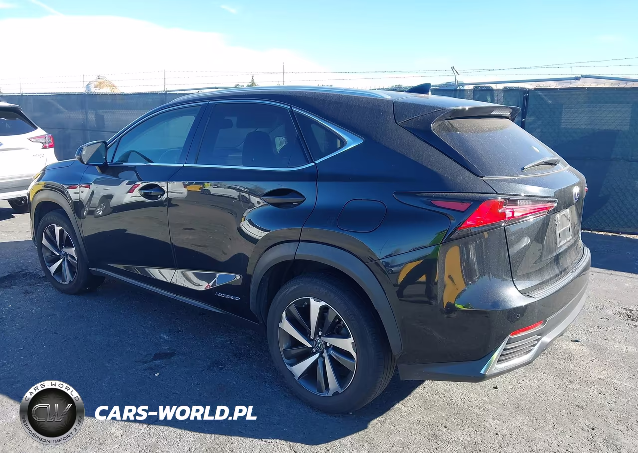 2020 Lexus Nx 300H VIN:JTJGJRDZ0L2140791 - 3