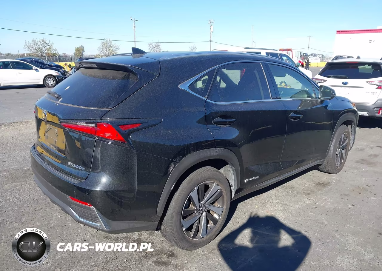 2020 Lexus Nx 300H VIN:JTJGJRDZ0L2140791 - 4