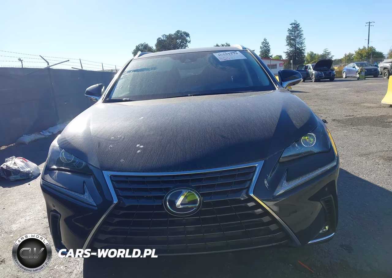 2020 Lexus Nx 300H VIN:JTJGJRDZ0L2140791 - 6