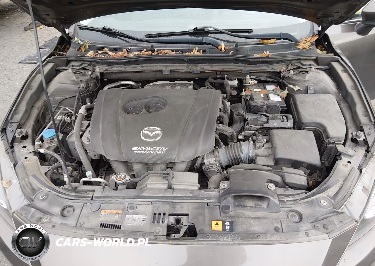 2014 Mazda Mazda3 S Grand Touring VIN:JM1BM1W32E1121134 - 10