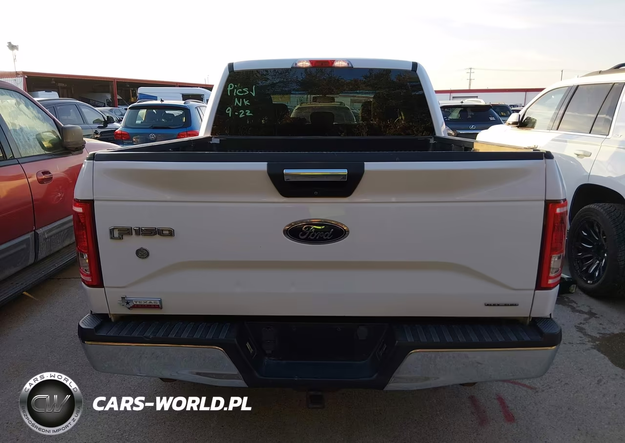 2015 Ford F-150 Xlt VIN:1FTEW1CFXFKD56981 - 15