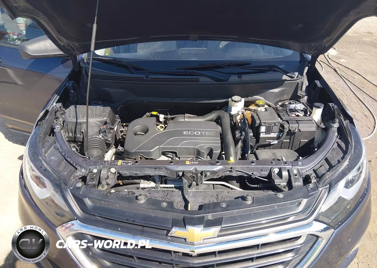 2019 Chevrolet Equinox Ls VIN:3GNAXHEV2KS516897 - 10