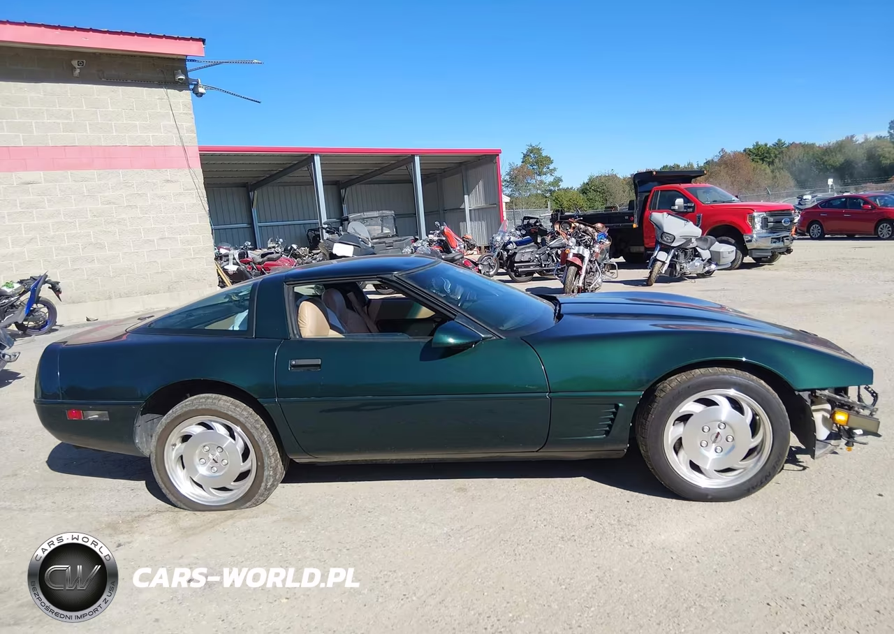 1996 Chevrolet Corvette VIN:1G1YY2257T5105215 - 13