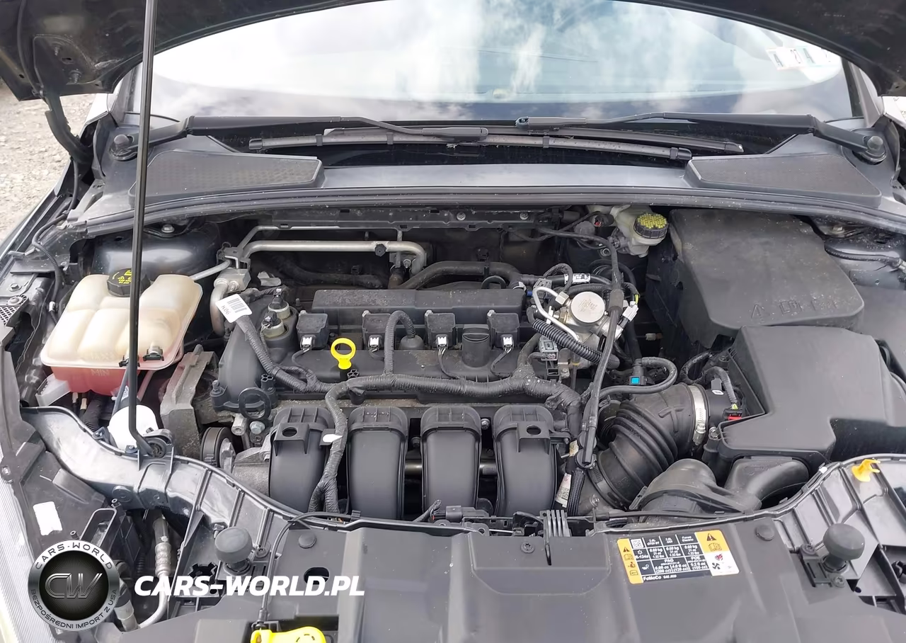 2016 Ford Focus Se VIN:1FADP3K20GL402869 - 10
