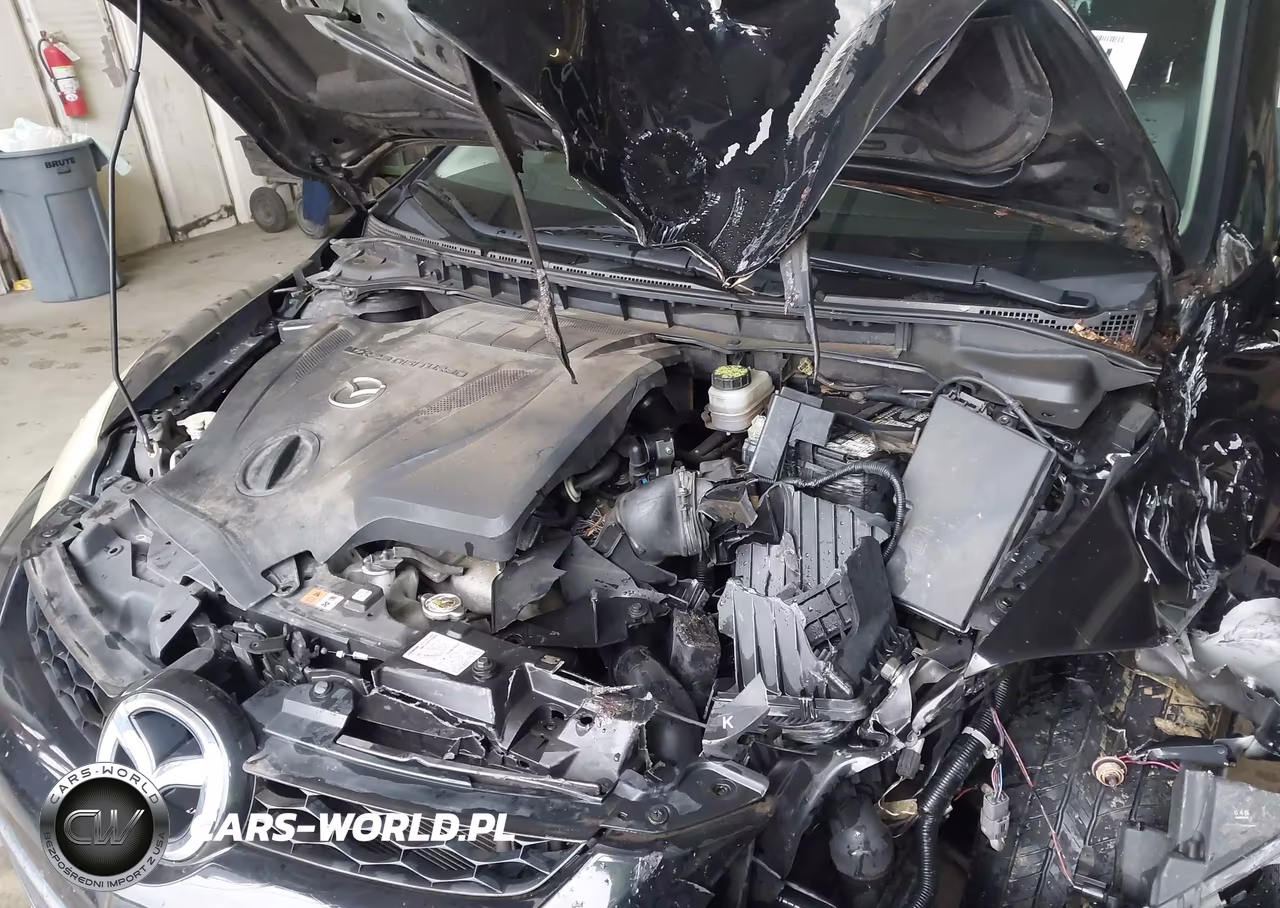 2010 Mazda Cx-7 S Touring VIN:JM3ER4W38A0300091 - 10