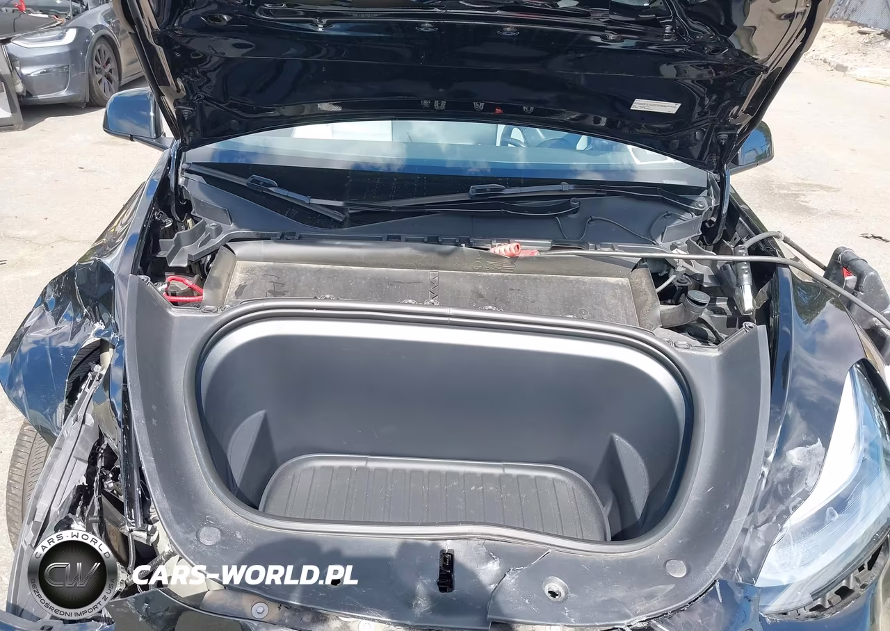 2025 Tesla Modelo Y Long Range Dual Motor All-Wheel Drive VIN:7SAYGDEE7SA364852 - 10