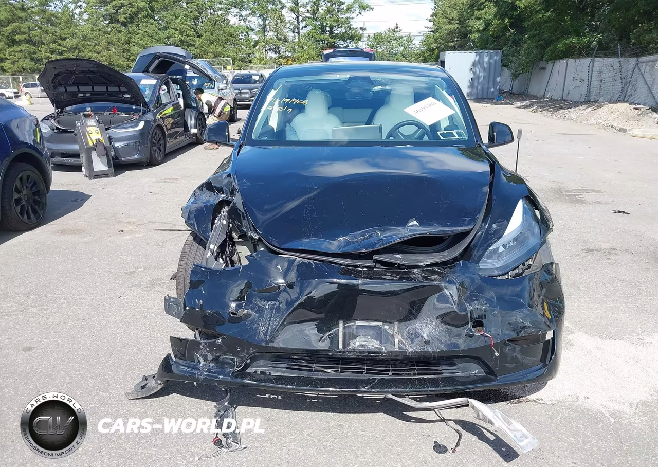 2025 Tesla Modelo Y Long Range Dual Motor All-Wheel Drive VIN:7SAYGDEE7SA364852 - 11