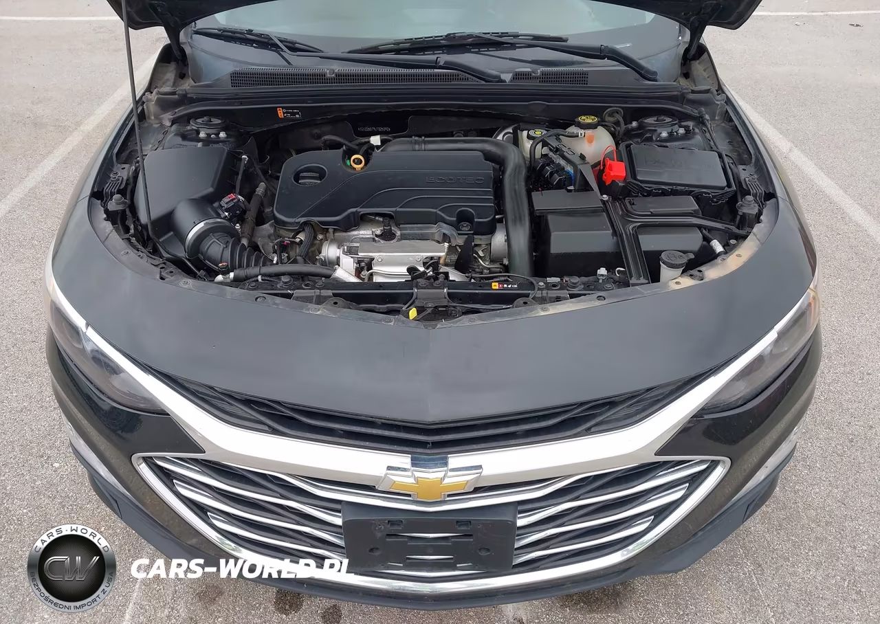 2020 Chevrolet Malibu Fwd Lt VIN:1G1ZD5ST9LF025392 - 10