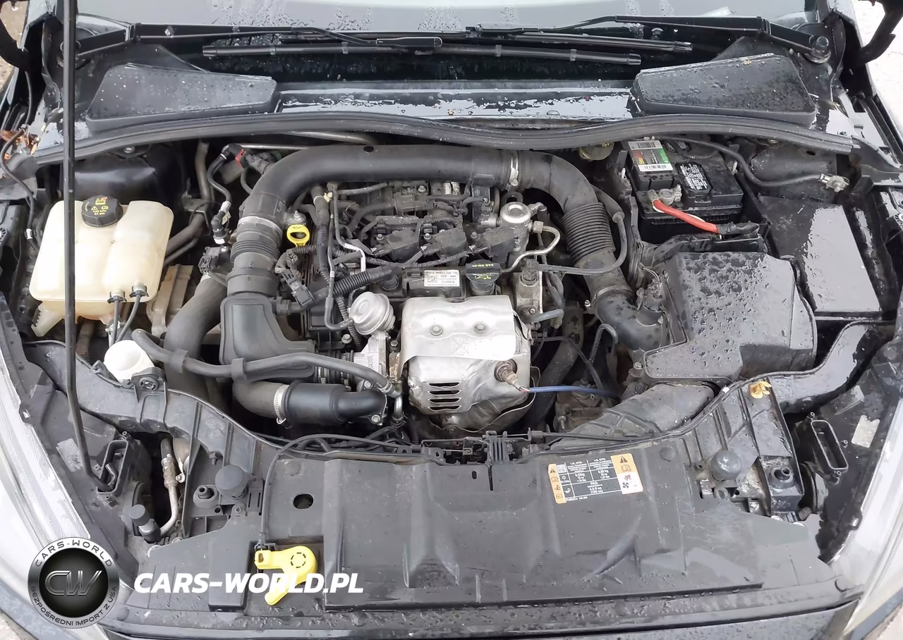 2016 Ford Focus Se VIN:1FADP3KE1GL328789 - 10