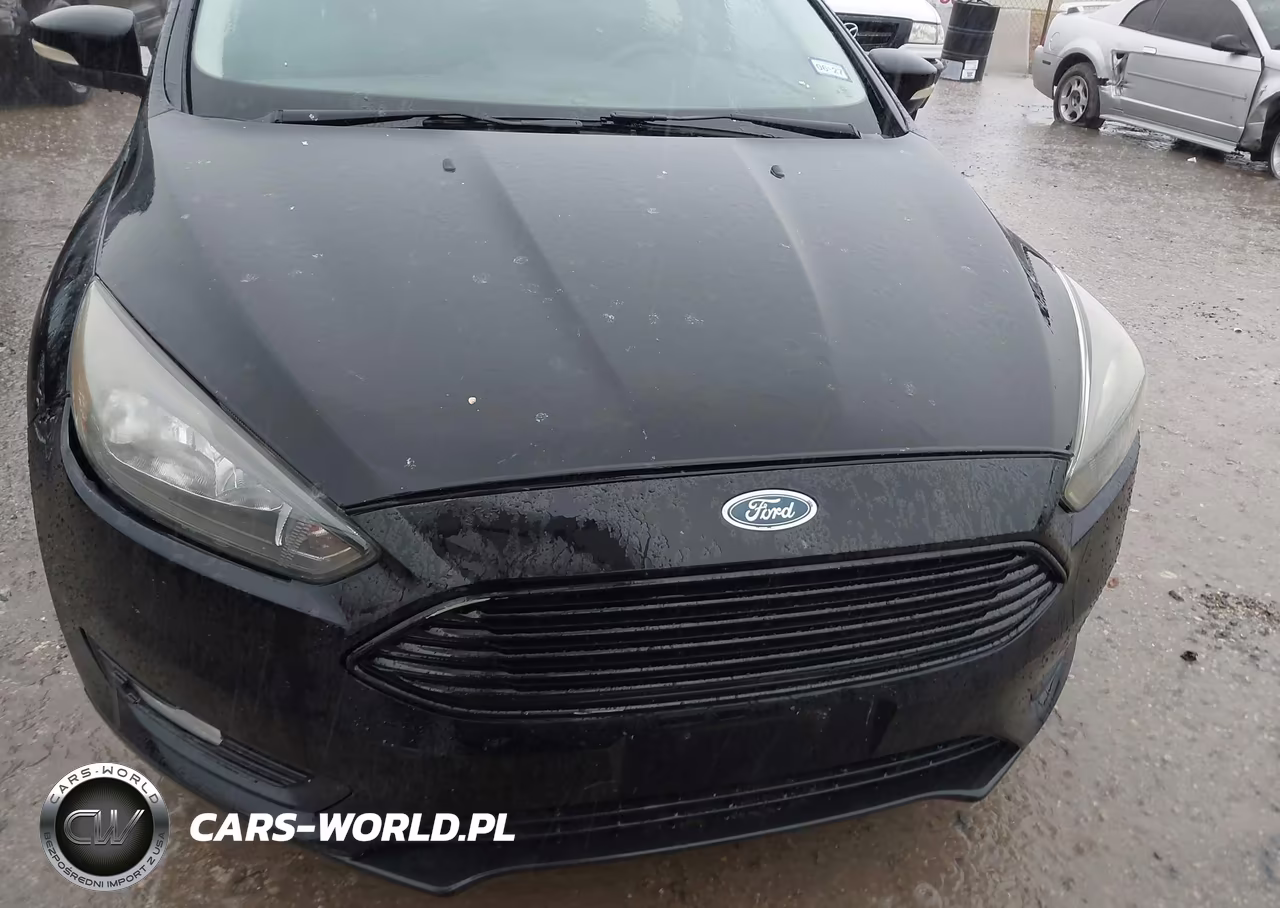 2016 Ford Focus Se VIN:1FADP3KE1GL328789 - 13
