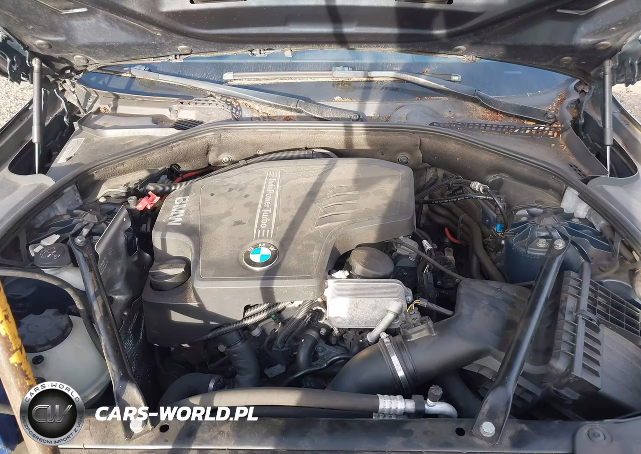 2013 BMW 528I xDrive VIN:WBAXH5C55DDW12816 - 10