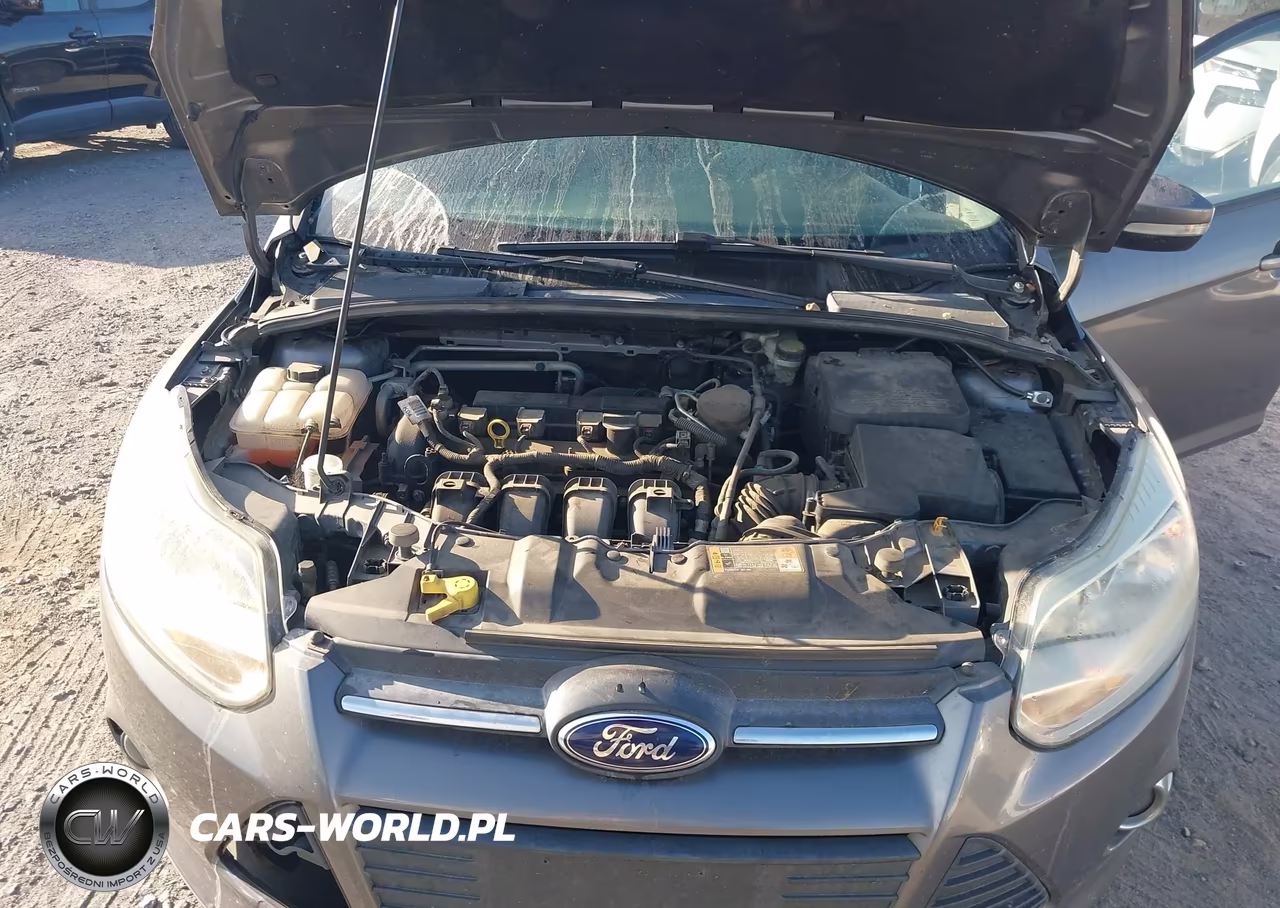 2014 Ford Focus Se VIN:1FADP3F21EL321600 - 10