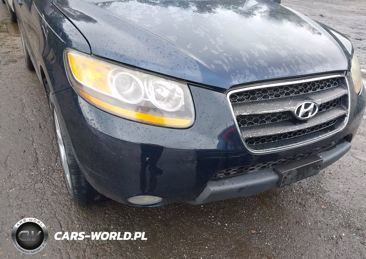 2008 Hyundai Santa Fe Limited-Se VIN:5NMSH13E78H164131 - 6