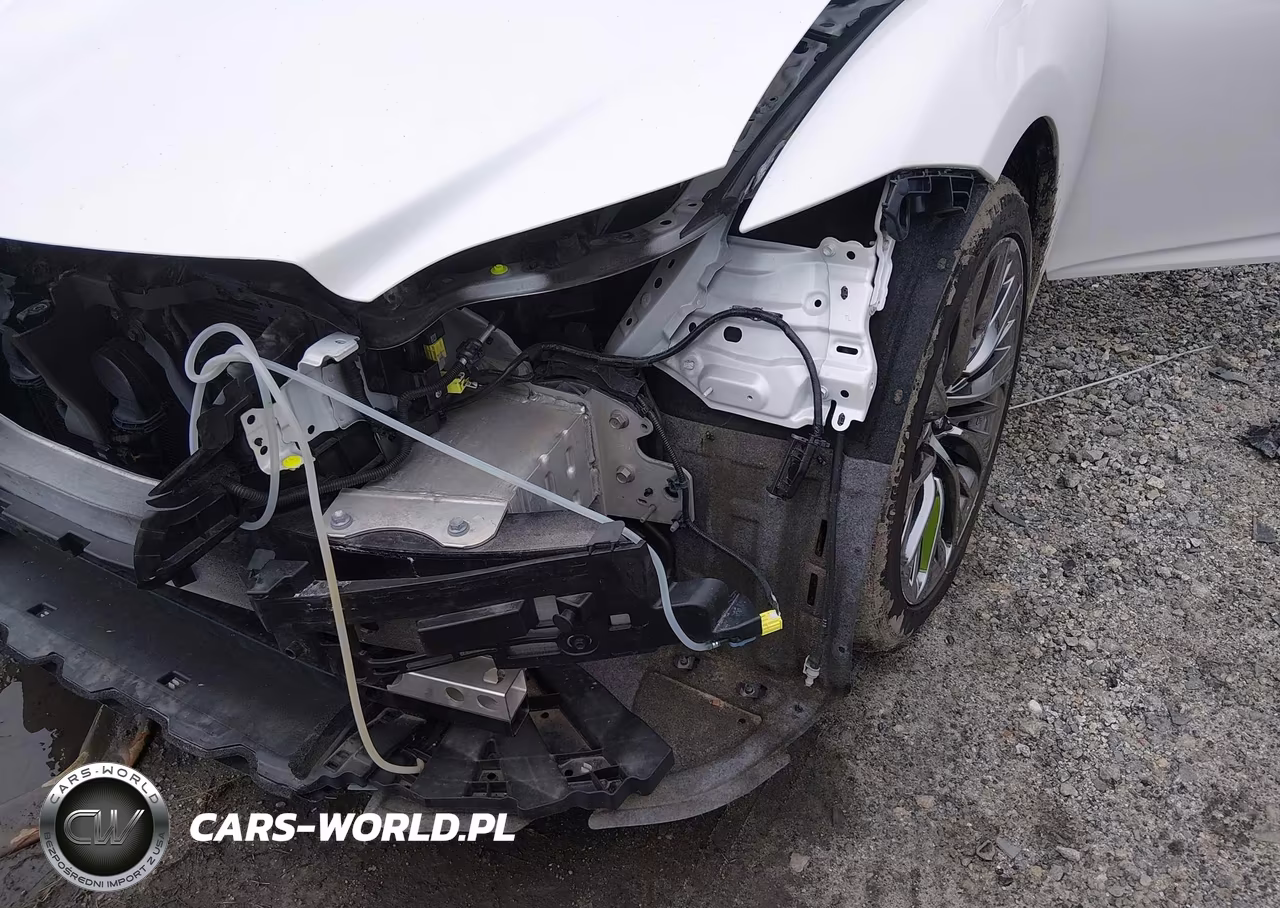 2022 Lexus Ls 500 VIN:JTHD51GF0N5010796 - 17