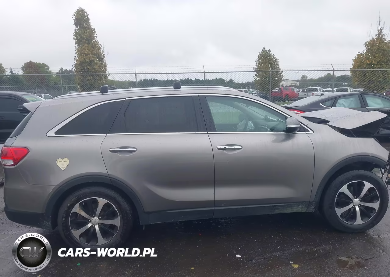2017 Kia Sorento 3.3L Ex VIN:5XYPH4A55HG235797 - 14