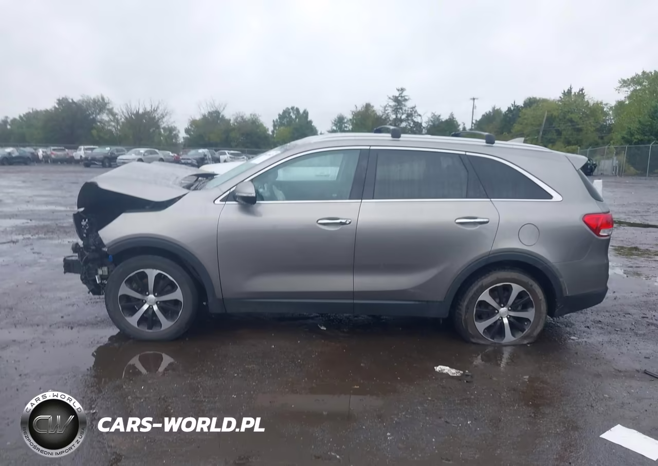 2017 Kia Sorento 3.3L Ex VIN:5XYPH4A55HG235797 - 15