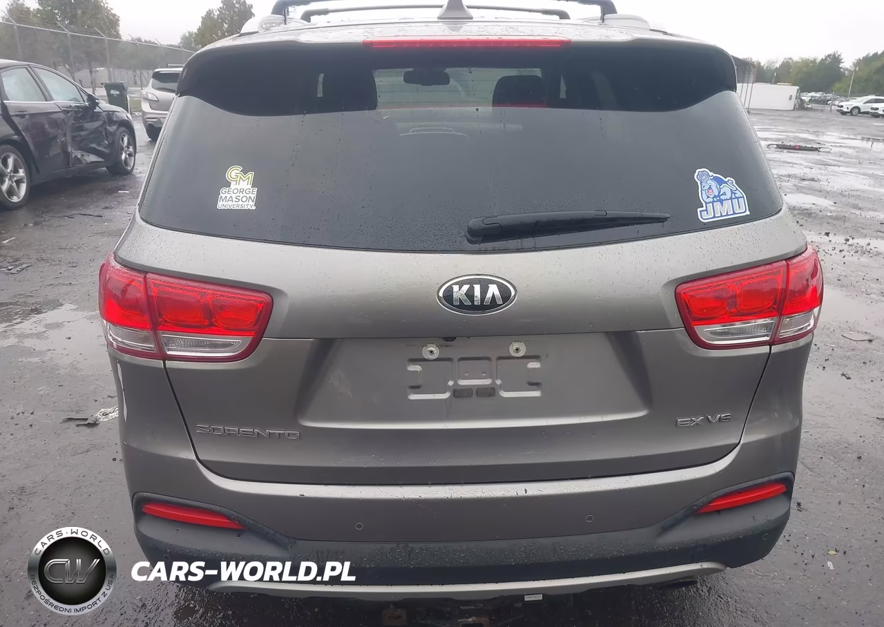 2017 Kia Sorento 3.3L Ex VIN:5XYPH4A55HG235797 - 17