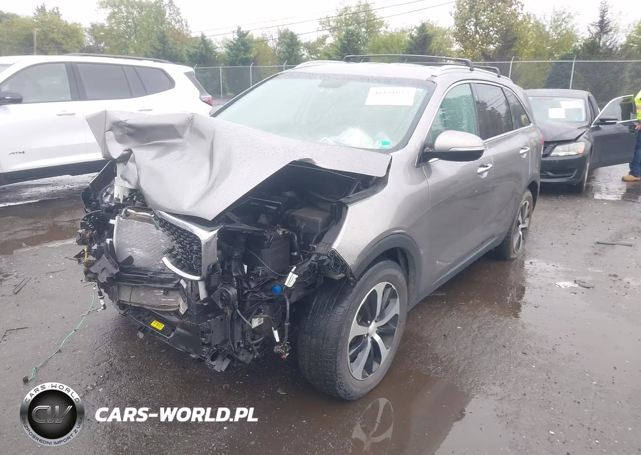 2017 Kia Sorento 3.3L Ex VIN:5XYPH4A55HG235797 - 2