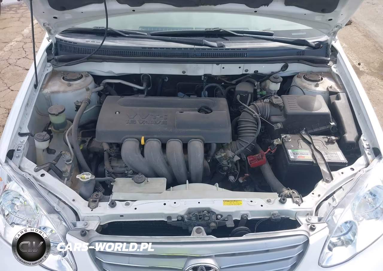 2004 Toyota Corolla Ce VIN:JTDBR32E342026174 - 10