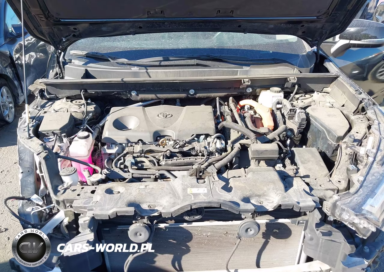 2024 Toyota Rav4 Hybrid Xle VIN:4T3RWRFV0RU112609 - 10