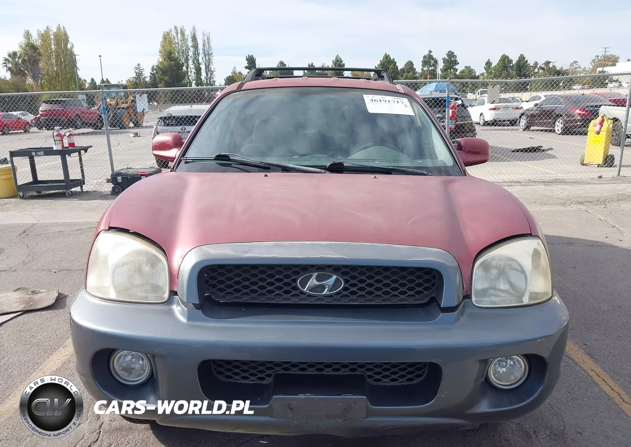 2003 Hyundai Santa Fe Gls-Lx VIN:KM8SC13D43U347148 - 12