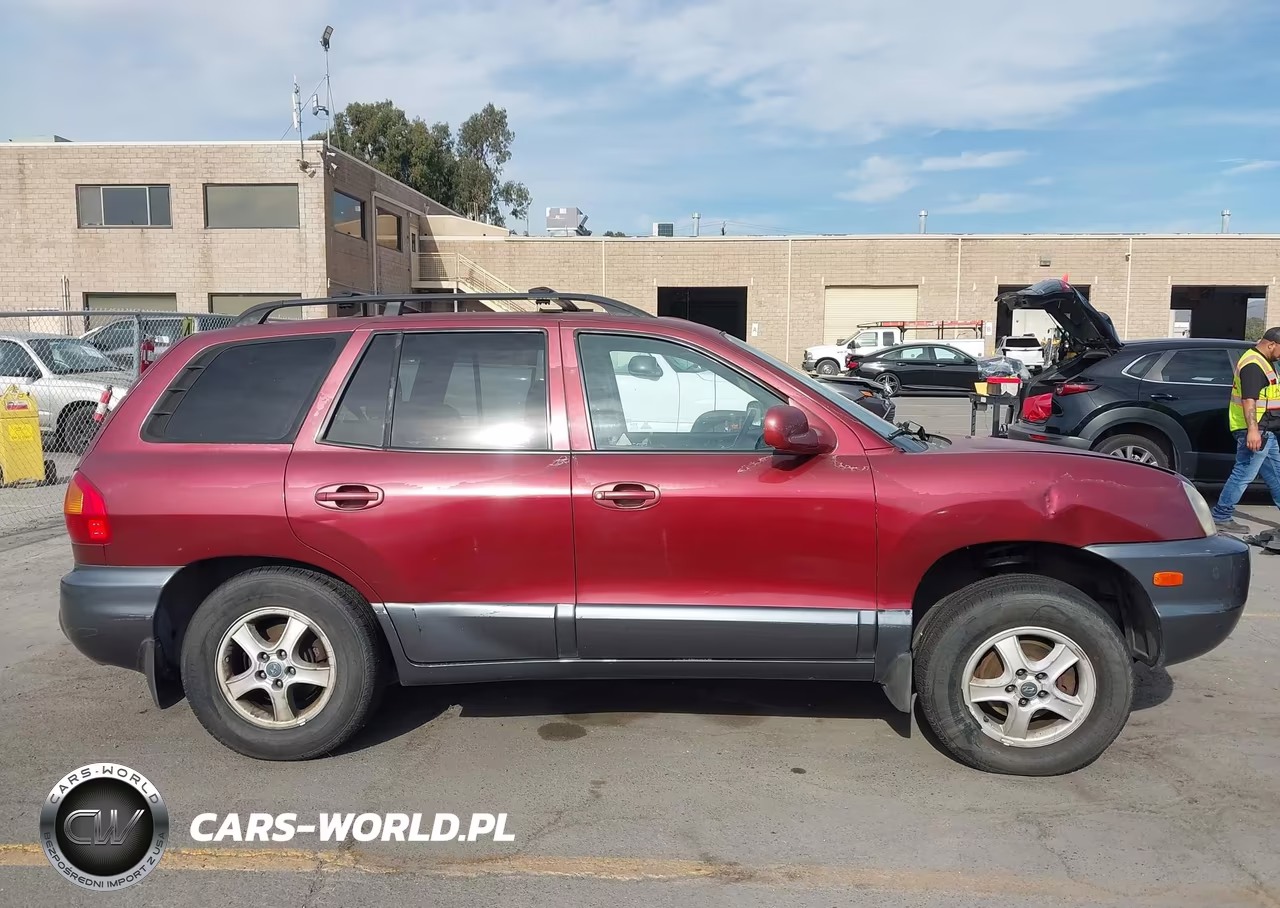 2003 Hyundai Santa Fe Gls-Lx VIN:KM8SC13D43U347148 - 13