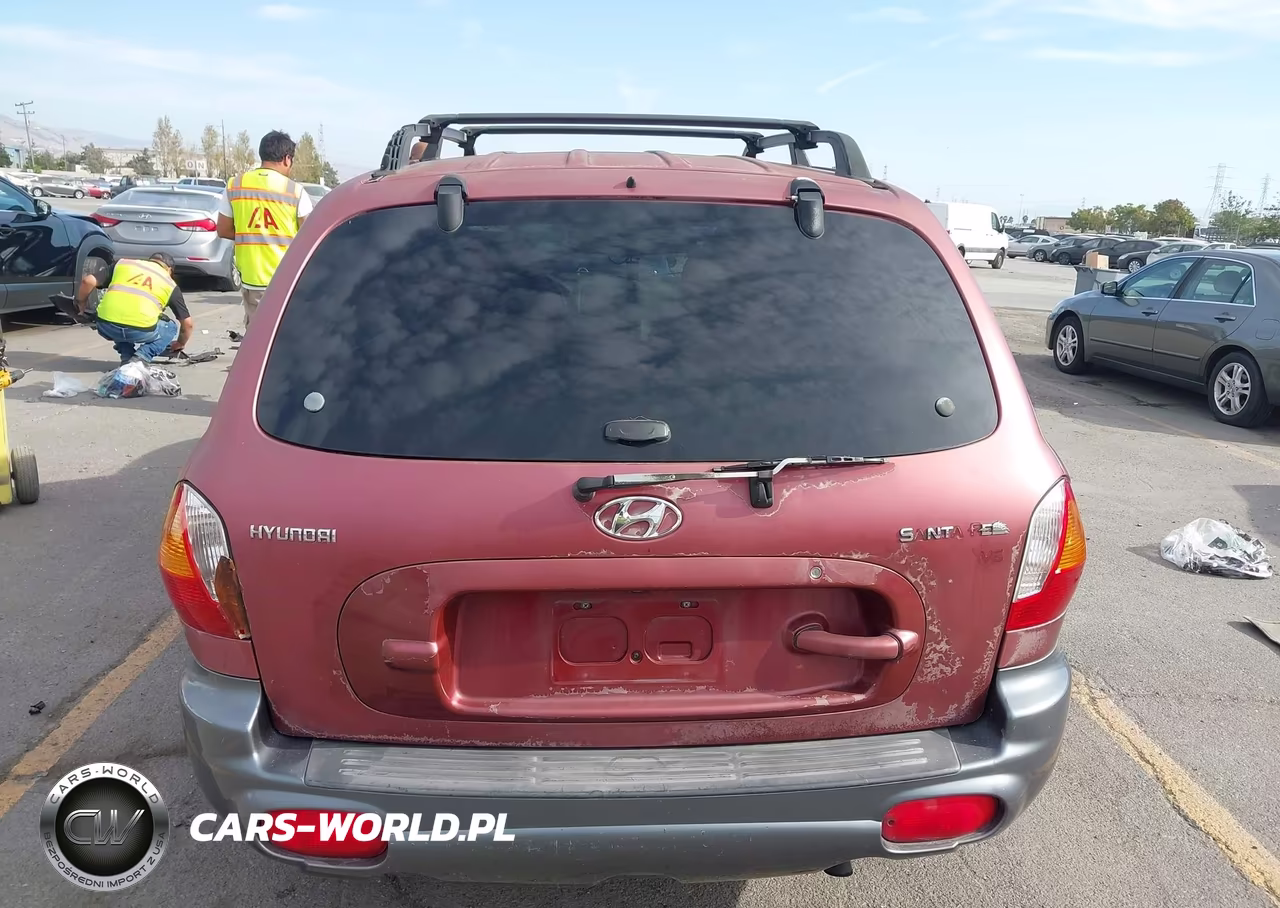 2003 Hyundai Santa Fe Gls-Lx VIN:KM8SC13D43U347148 - 16