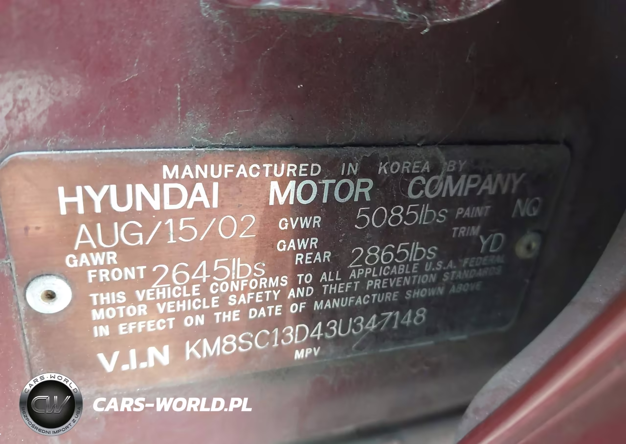 2003 Hyundai Santa Fe Gls-Lx VIN:KM8SC13D43U347148 - 9
