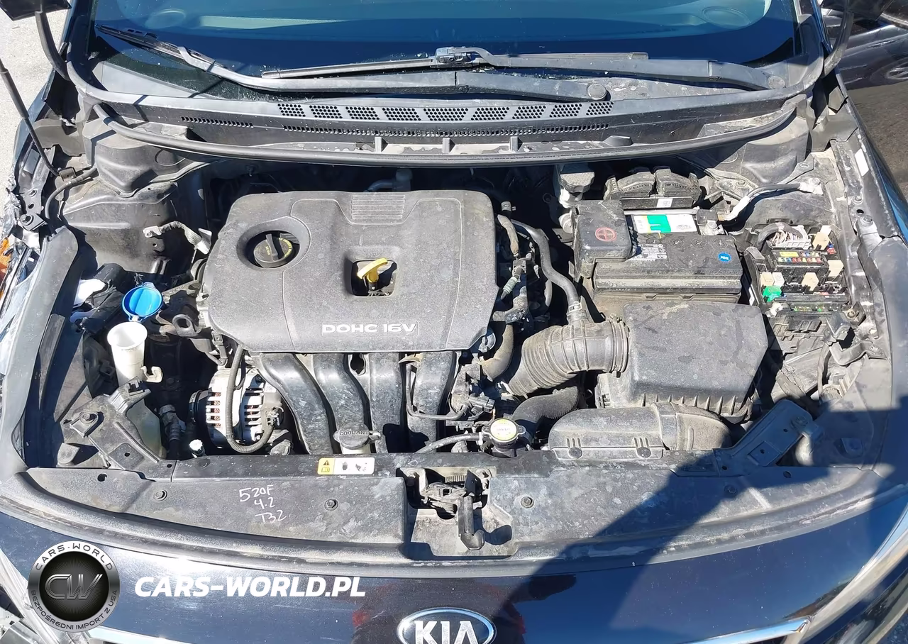 2018 Kia Forte Lx VIN:3KPFK4A75JE251662 - 10