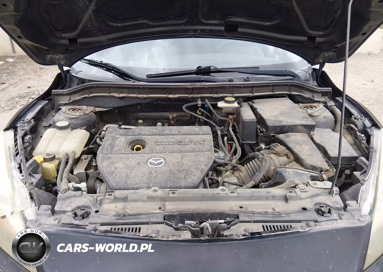 2010 Mazda 3 I VIN:JM1BL1SF3A1282184 - 10