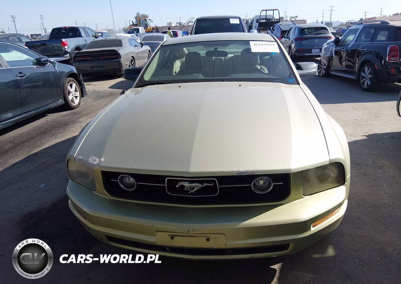 2006 Ford Mustang V6 VIN:1ZVFT80N865106992 - 12