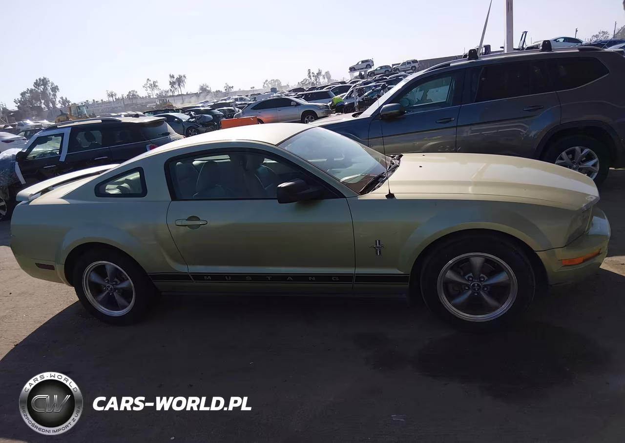 2006 Ford Mustang V6 VIN:1ZVFT80N865106992 - 13