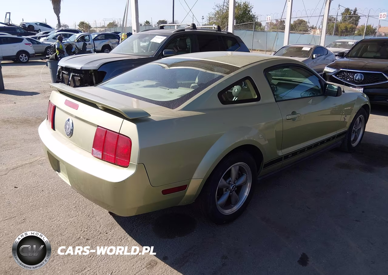 2006 Ford Mustang V6 VIN:1ZVFT80N865106992 - 4