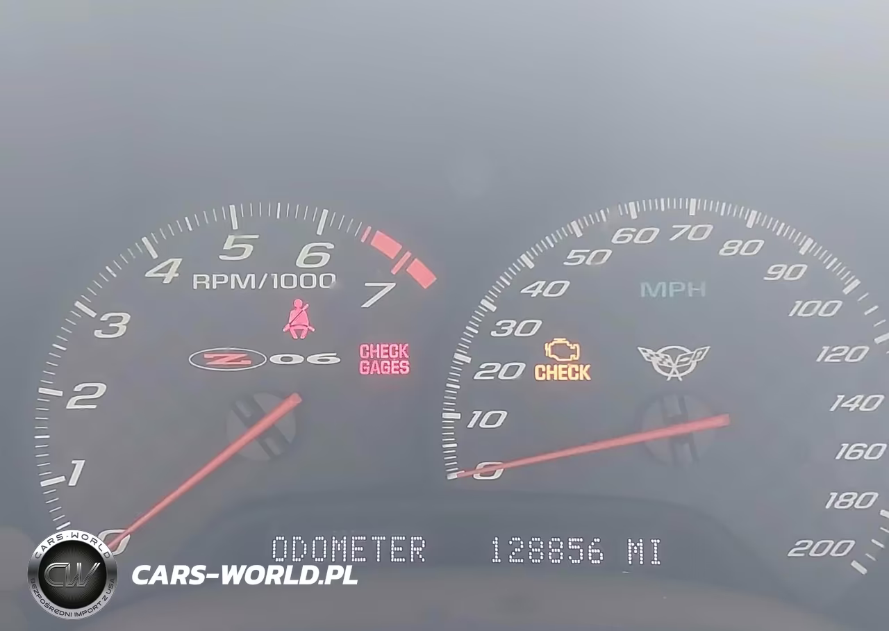 2003 Chevrolet Corvette Z06 VIN:1G1YY12S035123510 - 15