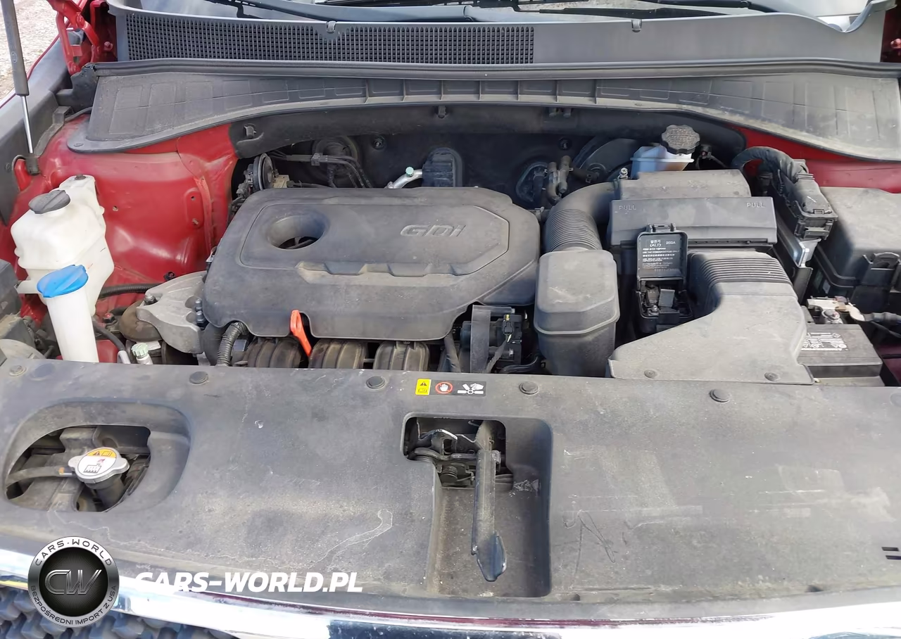 2016 Kia Sorento Lx VIN:5XYPG4A33GG042502 - 10