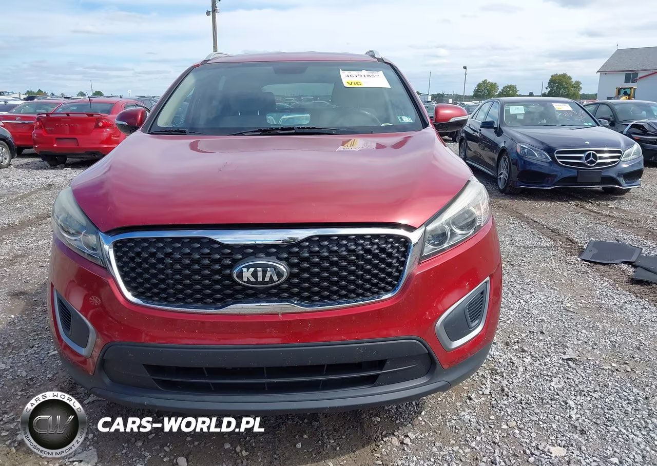 2016 Kia Sorento Lx VIN:5XYPG4A33GG042502 - 12