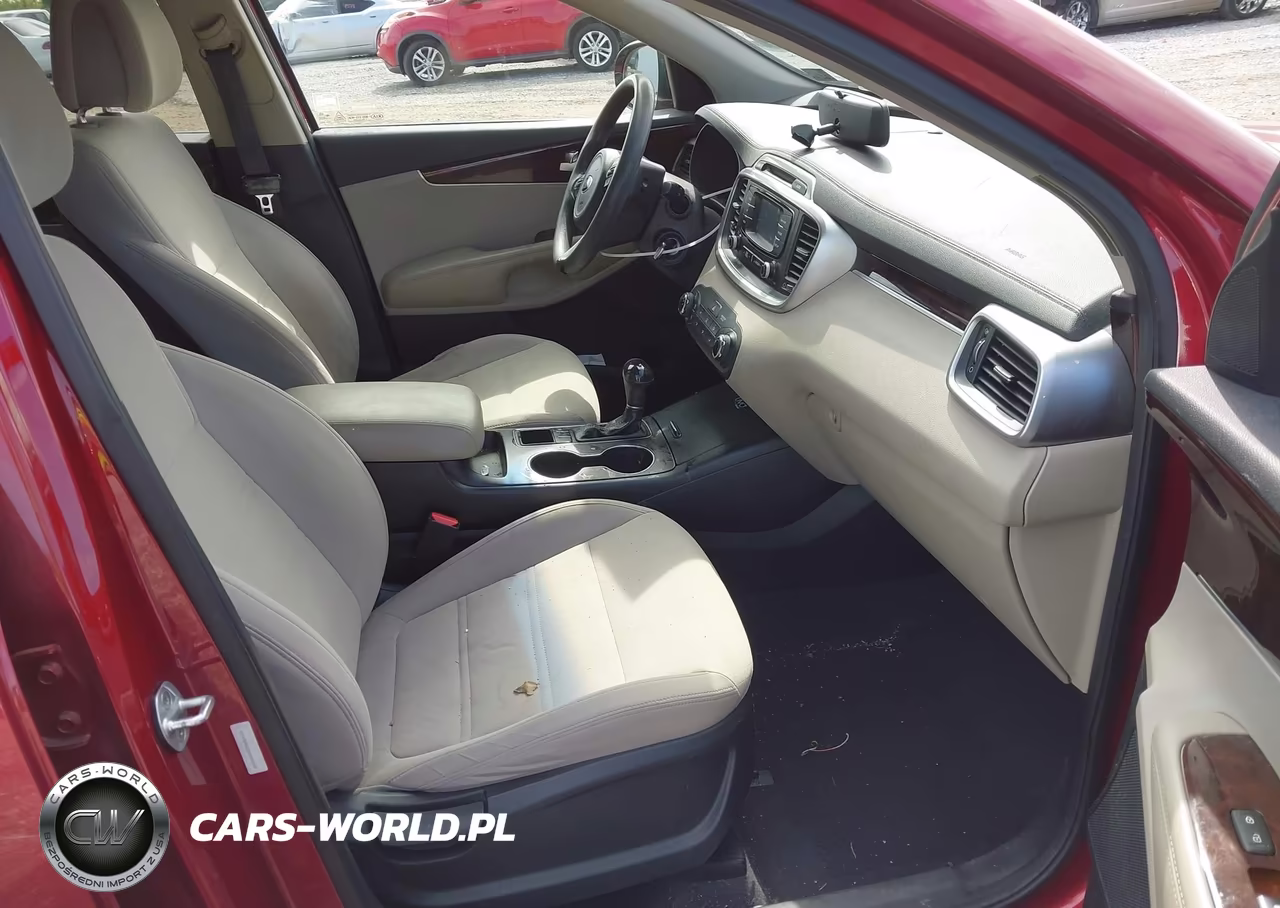 2016 Kia Sorento Lx VIN:5XYPG4A33GG042502 - 5