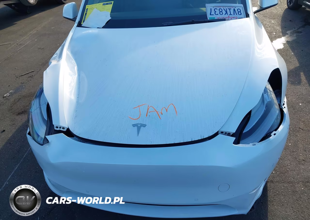 2021 Tesla Model Y Long Range Dual Motor All-Wheel Drive VIN:5YJYGDEE3MF145616 - 10