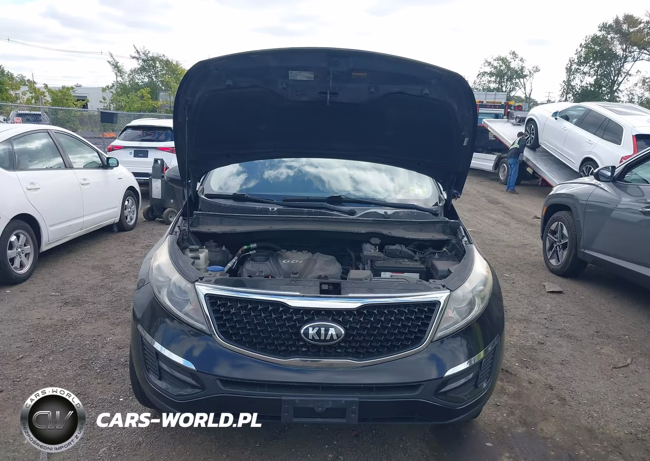 2016 Kia Sportage Lx VIN:KNDPB3AC1G7821399 - 10