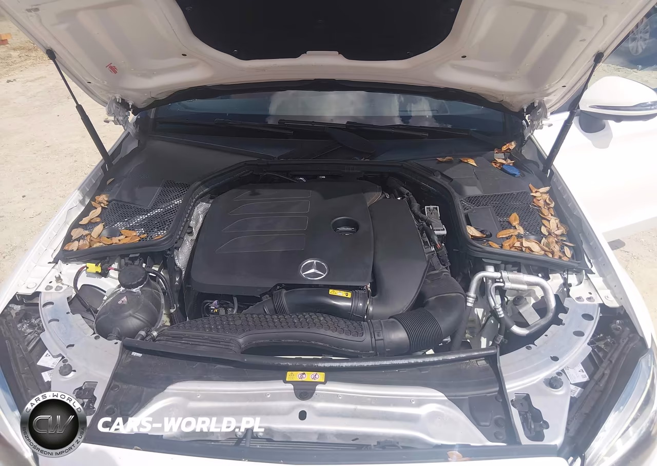 2019 Mercedes-Benz C 300 VIN:WDDWK8DB3KF919284 - 10