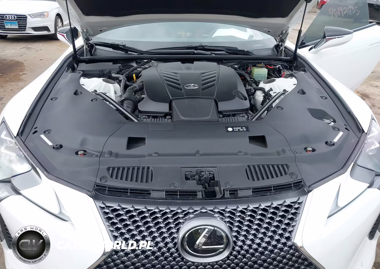 2018 Lexus Lc 500 VIN:JTHHP5AY2JA002486 - 10