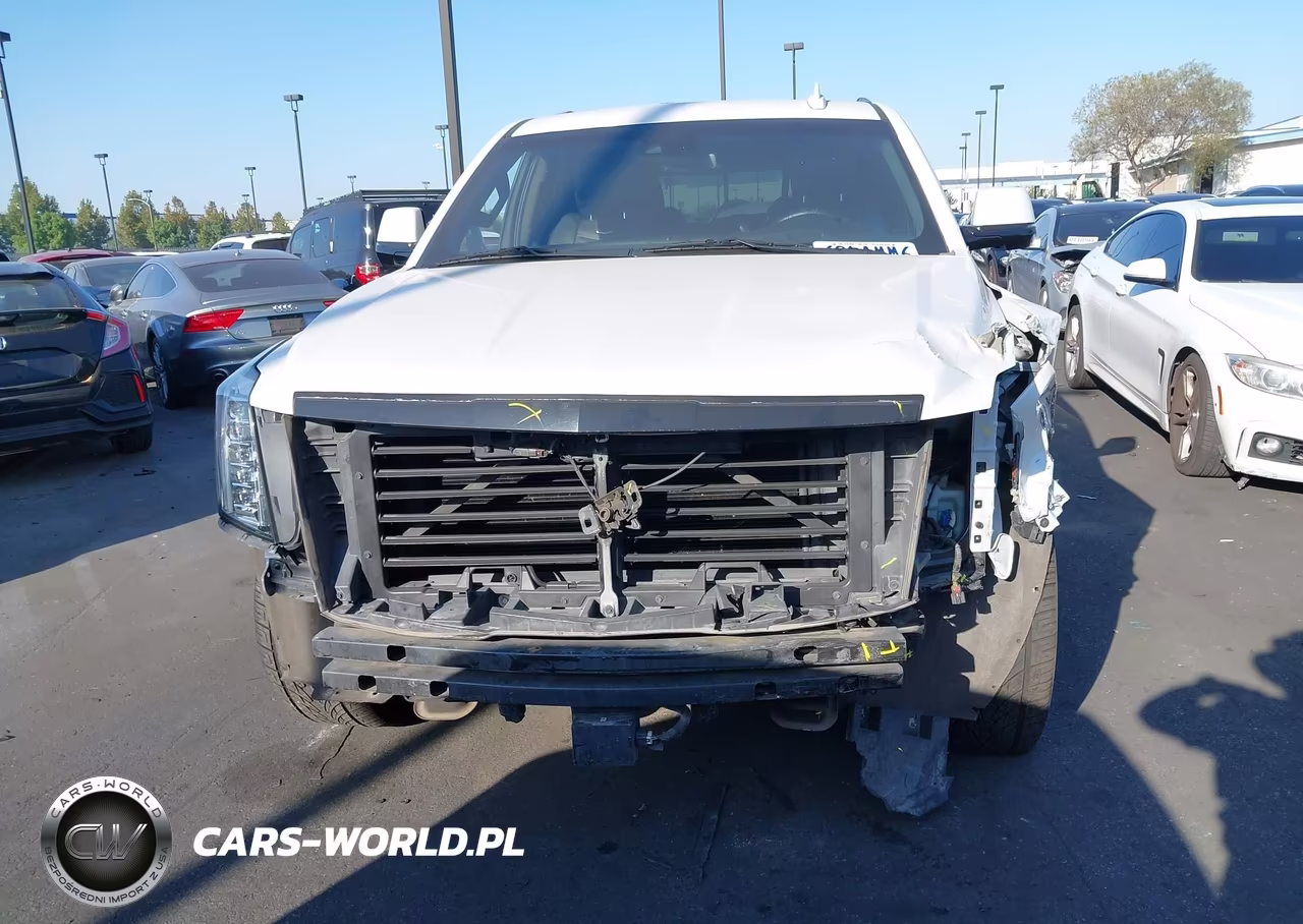2020 Cadillac Escalade 2Wd Platinum VIN:1GYS3DKJ7LR101642 - 13