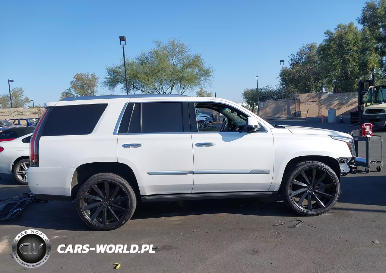2020 Cadillac Escalade 2Wd Platinum VIN:1GYS3DKJ7LR101642 - 14